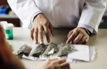 15 kilogramów medycznej marihuany w aptekach