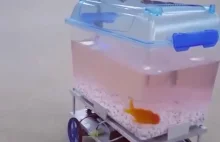 Jeżdżące akwarium kontrolowane przez rybę.