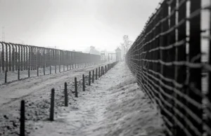 Niemiecki wywiad, złożony też z byłych nazistów, upowszechnił „polskie obozy ...