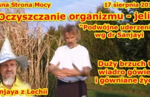 Szybka, tania i skuteczna metoda na oczyszczanie organizmu