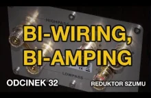 Bi-wiring, bi-amping - Reduktor Szumu