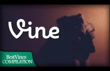 BEST VINES of January 2014 Compilation!! - Week #3