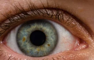Nanokrople regenerujące rogówkę oka pozwolą pozbyć się okularów [ANG]