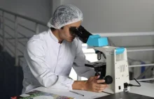 Polscy naukowcy-Rokitnik to interesująca opcja uzupełniająca leczenie nowotworów