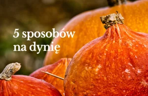 5 sposobów na dynię w listopadzie