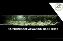 225L akwarium biotopowe. Polska - Meandry leśnego potoku, dopływu rzeki...