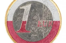 Przymusowe przyjęcie euro. Co dla Polski oznaczałby taki scenariusz?