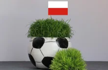 ● Co polscy piłkarze jedzą przed ważnymi meczami?