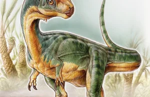 7-latek odkrył najdziwniejszego dinozaura