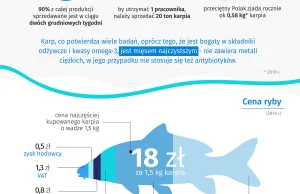 Cała prawda o karpiu z polskiego stołu