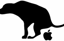 5 rzeczy których nie mogą zrozumieć hejterzy Apple