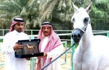 Arabia Saudyjska: Koń skazany na śmierć za homoseksualizm. [EN]