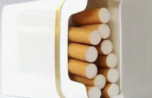 Rząd bierze sie za tytoń. Czy palaczy czeka rewolucja?