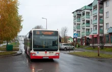 Gdańsk: Mechanicy i dyspozytorzy za kierownicami miejskich autobusów