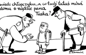 Poprawność polityczna