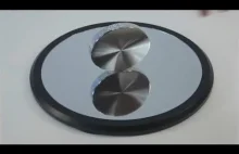 Euler's Disk