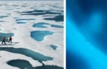 Niespodziewane ilości fitoplanktonu pod lodem Arktyki