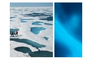 Niespodziewane ilości fitoplanktonu pod lodem Arktyki