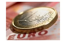 Poczekajcie z tym euro! Sąsiedzi Polski apelują do Polaków nt. wprowadzenia Euro