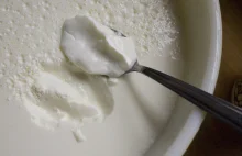 Czy wszystkie jogurty naturalne są takie same? Nie są.