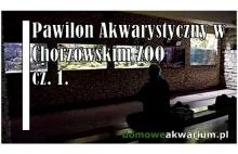 Pawilon akwarystyczny w Chorzowskim ZOO