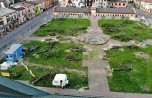 Wycięli 58 drzew. W ich miejscu zbudują betonowy plac. Mieszkańcy w szoku