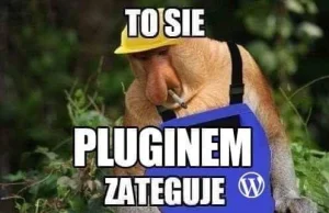 MIT jednego słusznego pluginu do SEO