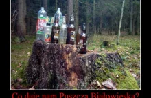 Co daje nam Puszcza Białowieska?