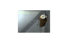[SPOILER] [Portal 2] GLaDOS: Potato Song