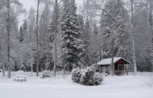 Finlandia - mroźna północ.