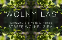 WOLNY LAS - powstaje pierwsza w Polsce Strefa Wolnej Ziemi!