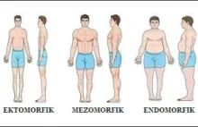 Ektomorfik, endomorfik, mezomorfik kim ty jesteś?