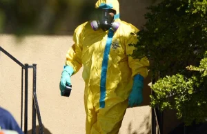 Ebola w ciągu 20 dni w Europie? Duże prawdopodobieństwo