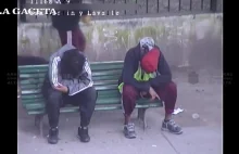 Dwóch cwaniaczków okrada pijanego mężczyznę odpoczywającego na ławce