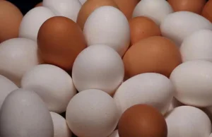 Skażone jaja fipronilem w Europie trafiły do Polski. Jak je odróżnić?