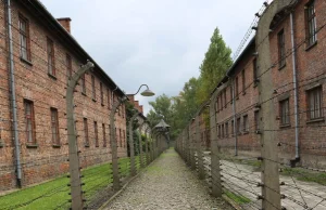 Aż 9 redakcji w ciągu tygodnia napisało o "polskich obozach...