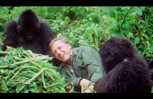 A tak BBC pamięta o zbliżających się 90 urodzinach Sir David Attenborough