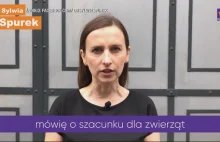 Spurek: los krów jest zdeterminowany przez ich płeć Biedroń: nie bardzo rozumiem