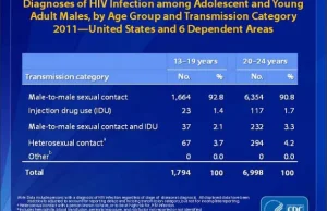 Prawie wszystkie zakażenia HIV następują wskutek współżycia homoseksualnego(USA)