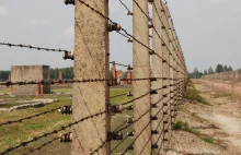 "Księgowy Auschwitz" zmarł zanim trafił do więzienia