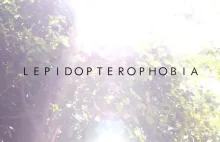 Lepidopterophobia - Strach przed latającymi kosmatymi potworami