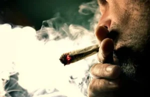Rhode Island dekryminalizuje posiadanie małych ilości marihuany [ang]