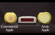 Arctic® Apple 24 Hour Time-Lapse