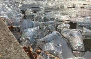 Kraków rezygnuje z jednorazowych plastikowych sztućców, kubków i butelek!