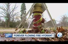 Cieknący hydrant, czyli problemy Detroit