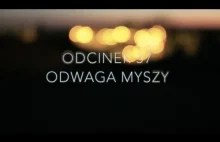 Dobranocka [#57] Odwaga myszy