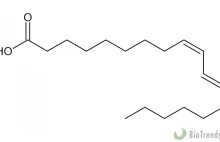 CLA (sprzężony kwas linolowy) - właściwości i zastosowanie