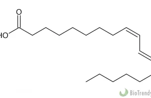 CLA (sprzężony kwas linolowy) - właściwości i zastosowanie