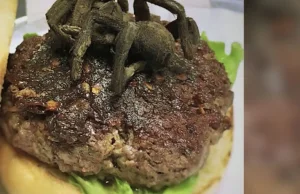 "Tarantula Burger" - nowe danie amerykańskiej restauracji.