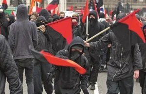 Antifa wykorzystuje Uniwersytet Warszawski do przygotowania manifestacji